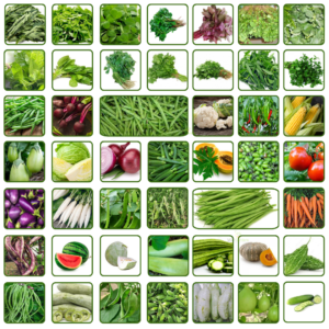 45 Varieties Vegetable Seeds – Combo Pack